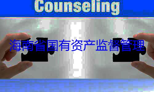 有福接受审查调查理委员会党资产监督管委副书记王海南省国有
